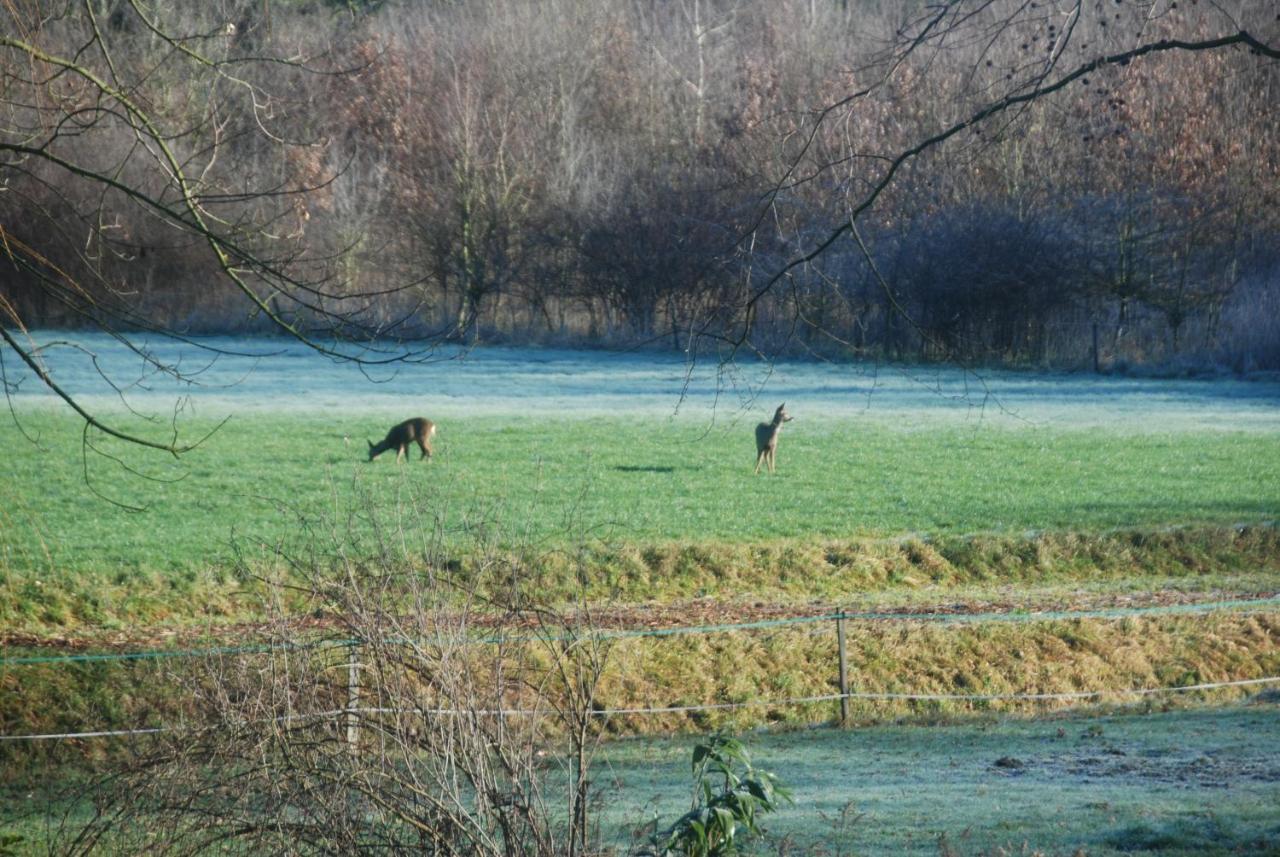 B&Btob Steengroeve Winterswijk Exterior foto